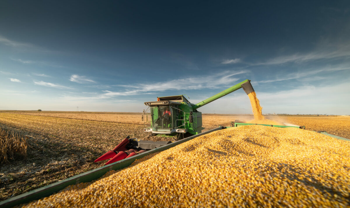 County Corn Yields Are In MidWest Farm Report