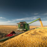 Pouring,Corn,Grain,Into,Tractor,Trailer,After,Harvest,At,Field