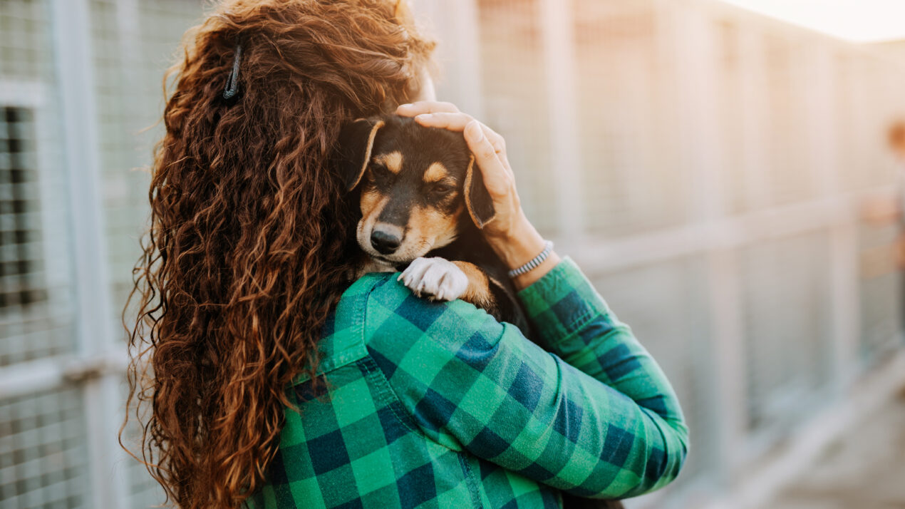 Humane Societies See Higher Costs, Too MidWest Farm Report