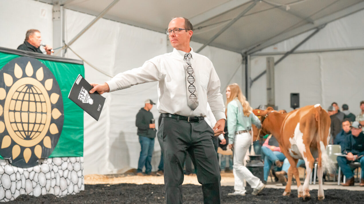 Dairy Expo Breed Sales Successful