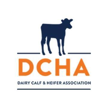 Scholarship Opportunity From DCHA