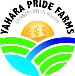 Yahara Pride Partners Share Research