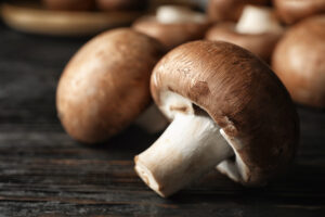 Fungus Among Us? Wisconsin Farm Grows Mushrooms