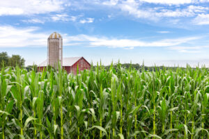 A Look At Cropland Rent By County
