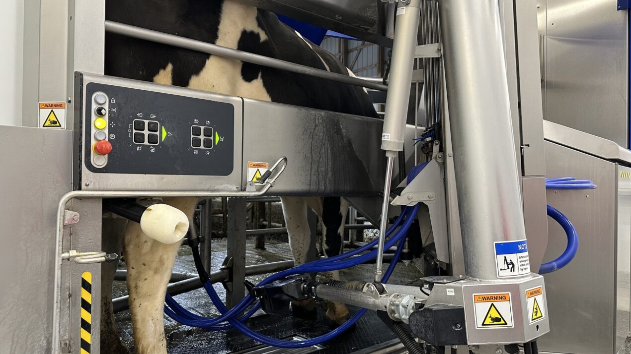 Robotics, Sensors, Circuits – Welcome To Dairy