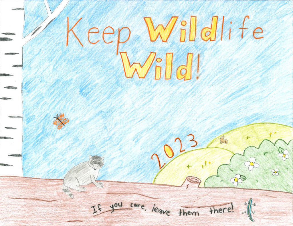 dnr-announces-2023-keep-wildlife-wild-poster-contest-winners-mid-west