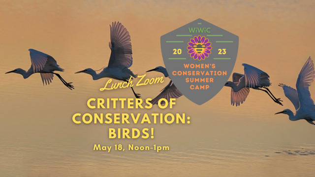 “Critters of Conservation” Starts in May