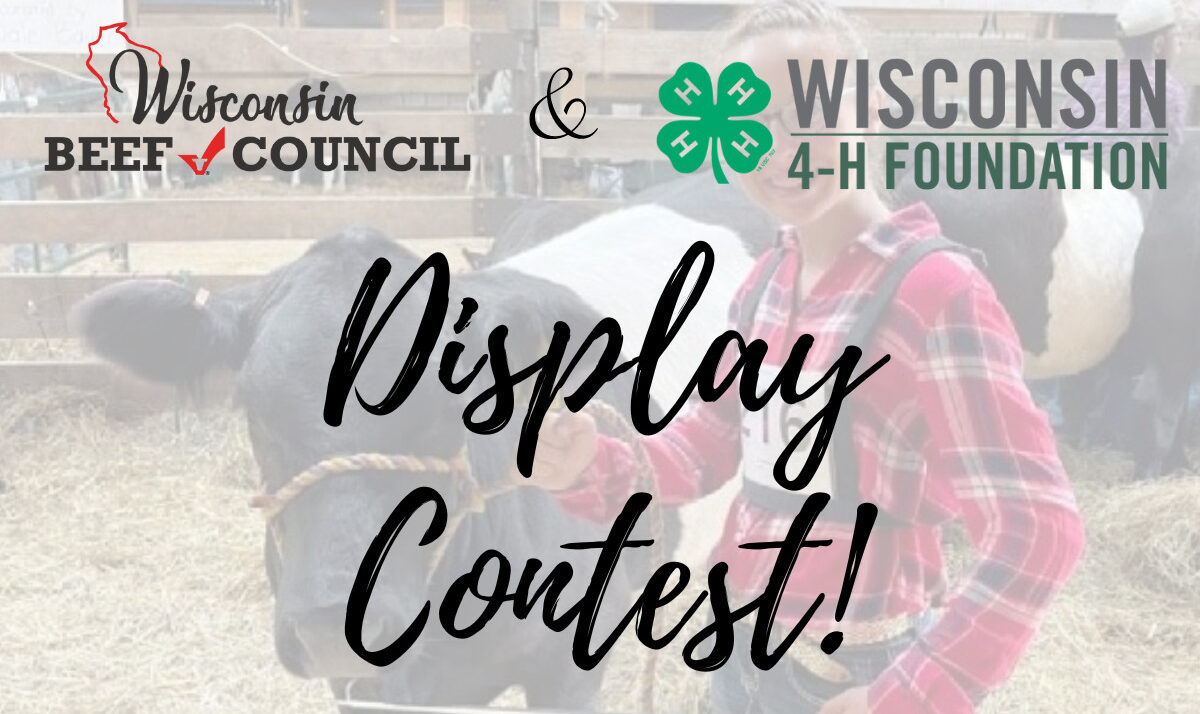 Beef Council and 4-H Host Beef Display Contest