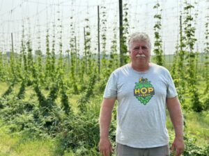 Hop Yard Deals With Drought, Too