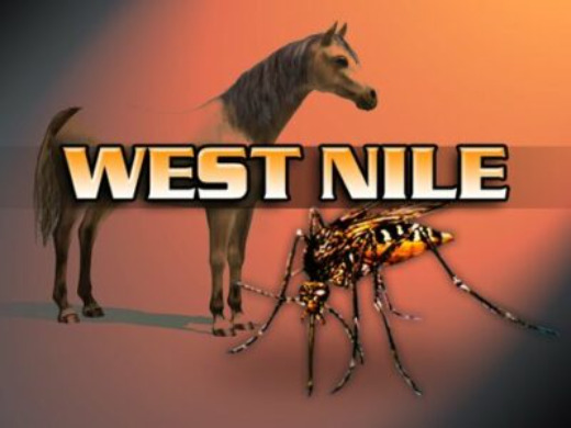 West Nile Confirmed In Dunn County