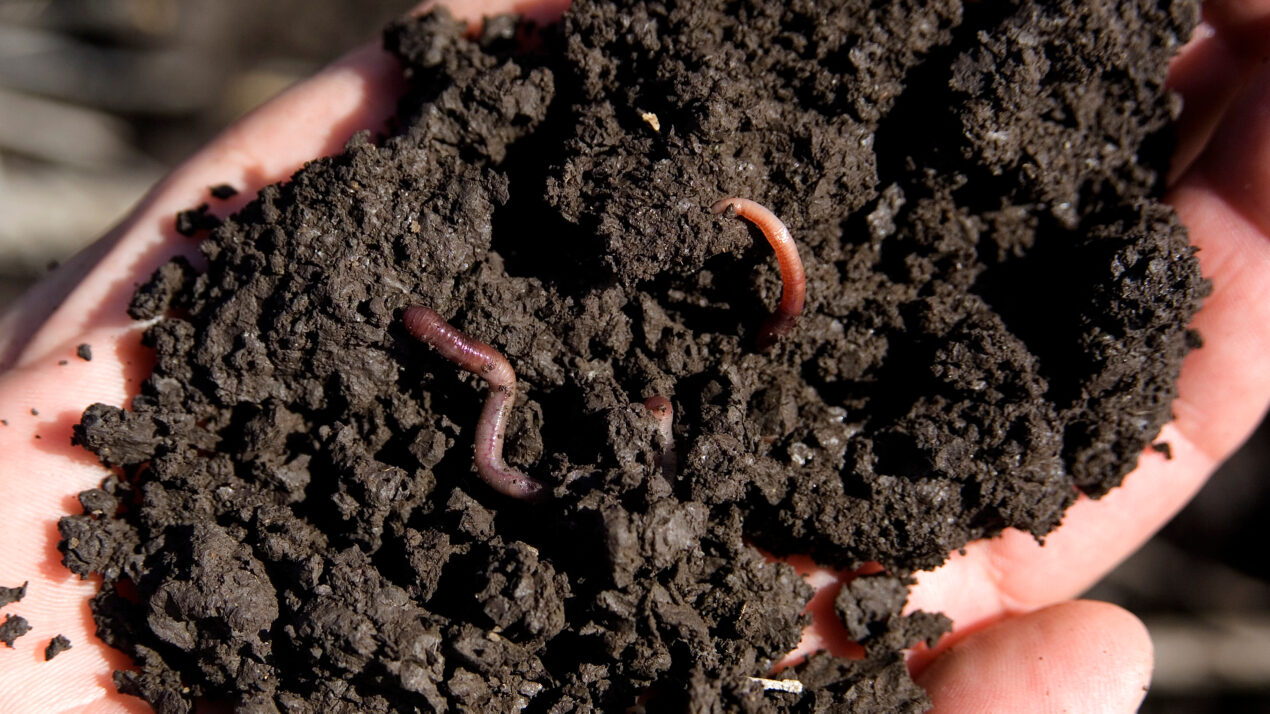Conservation Council Hosts Soil Health Raffle Run