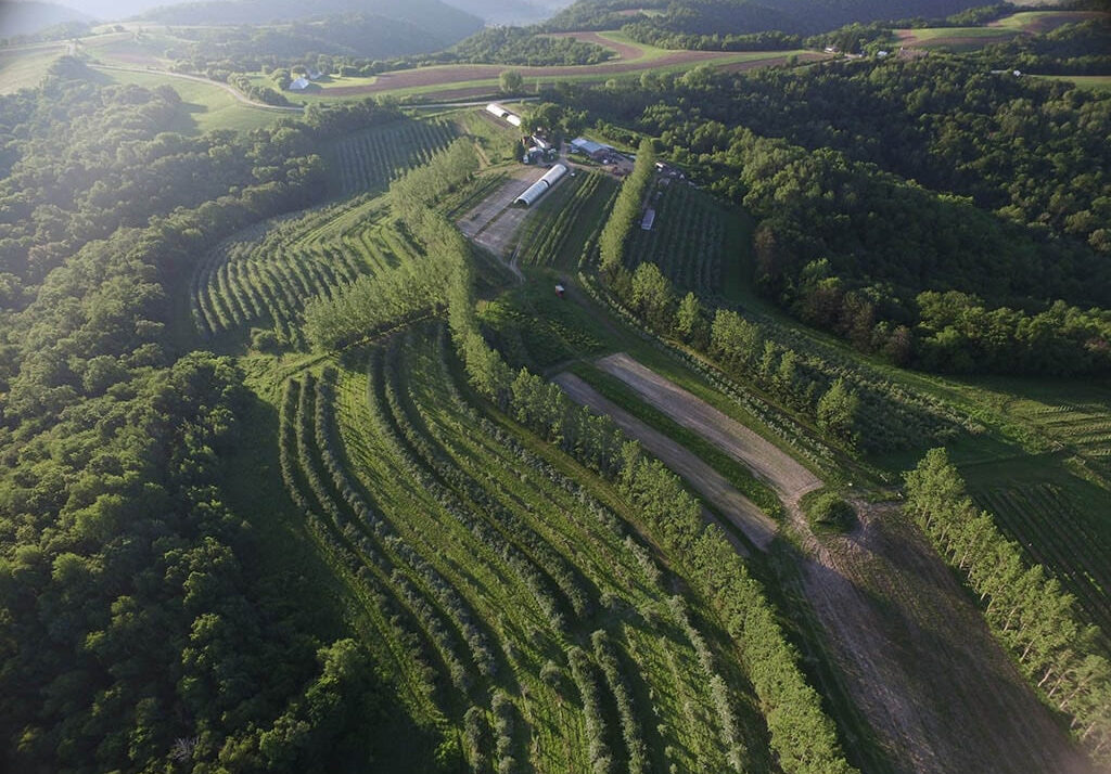 New Tree Program Aims To Boost Farm Profits