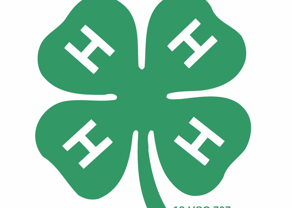 4-H Foundation Scholarships Available