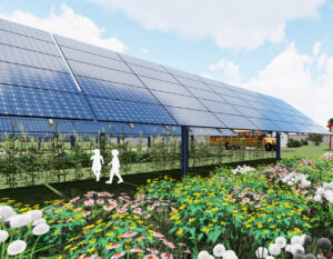 Marrying Solar and Agriculture