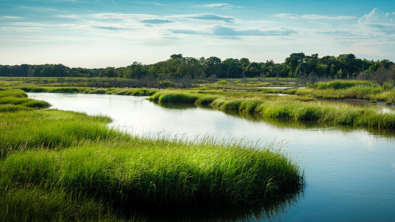 Groundbreaking Easement Closing Celebrated