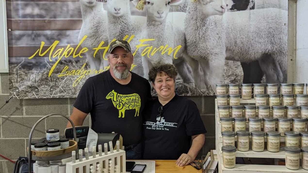 Sheep Dairy: Wisconsin’s Other Dairy Industry