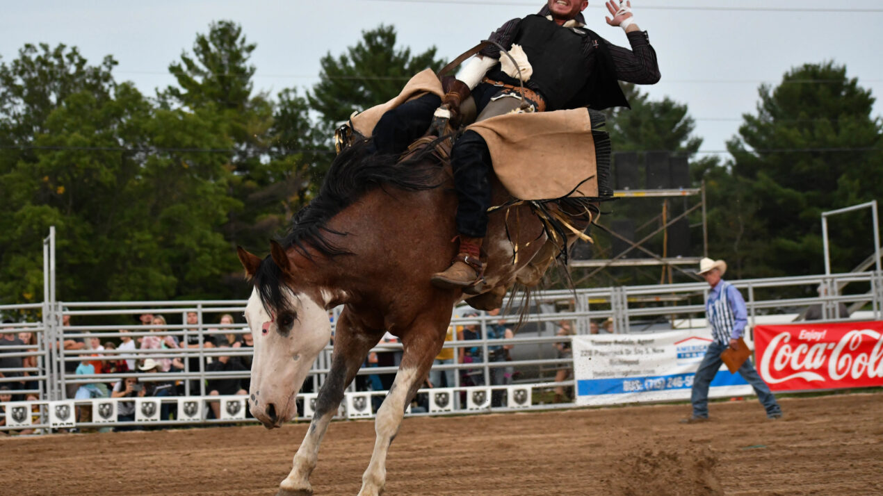 Falcon Frontier Days Rodeo Returns