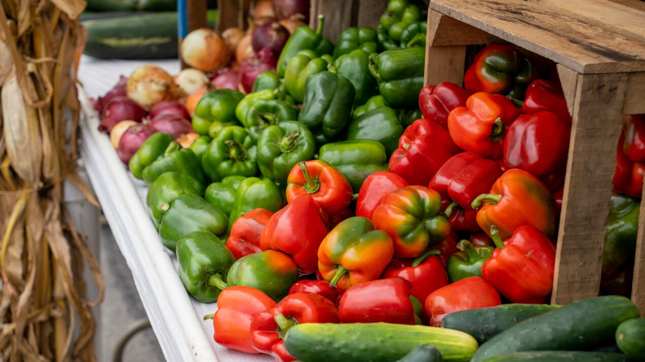 New UW Research Shows Farmers Markets Build Community