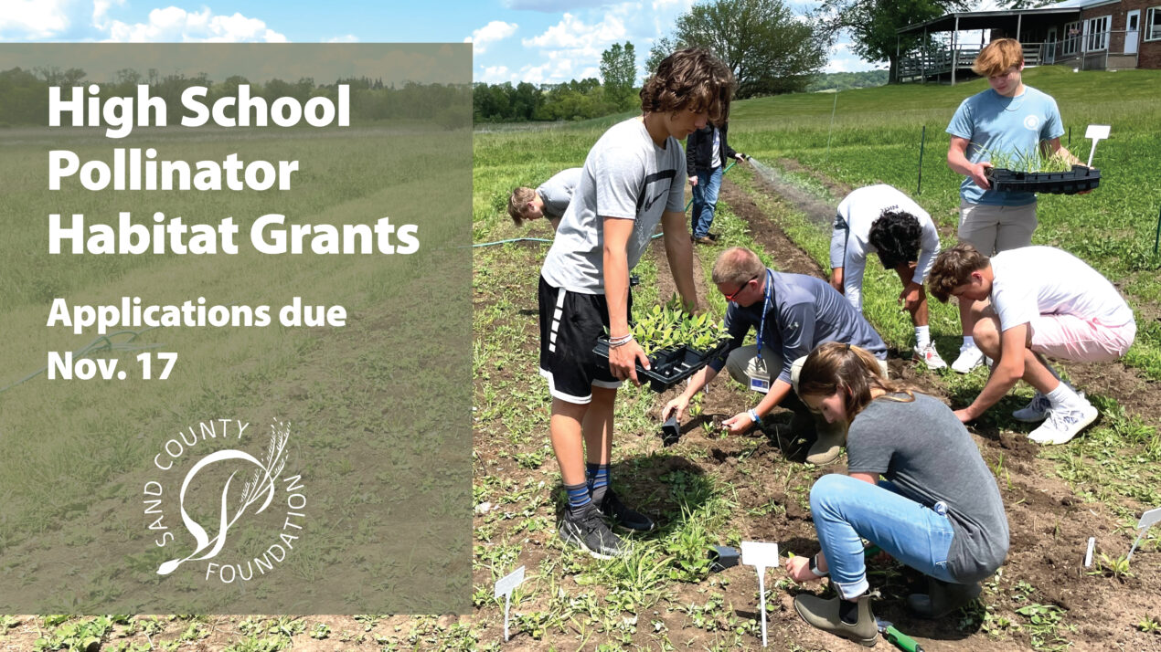 Pollinator Grants Available to High Schools