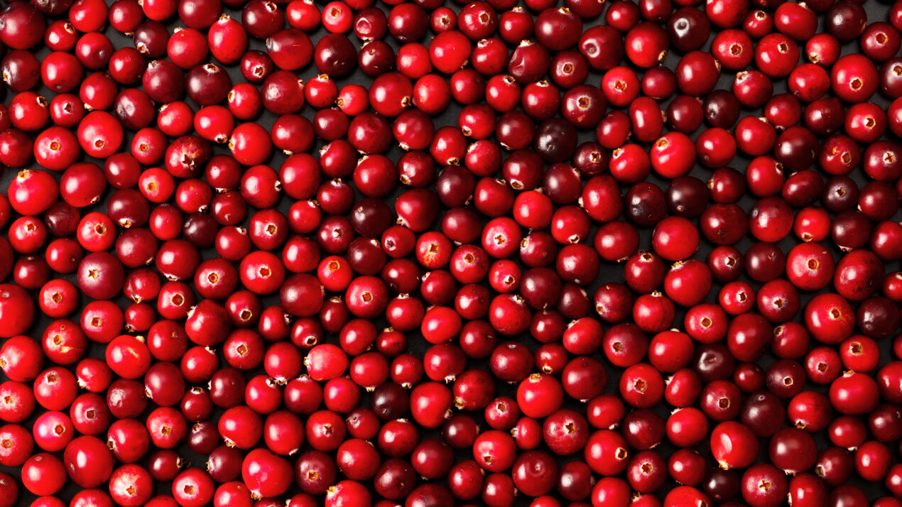Election Results Announced for Wisconsin Cranberry Board