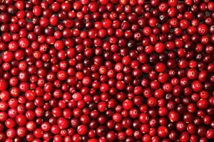 Election Results Announced for Wisconsin Cranberry Board