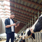 Dairy - Data-reproductive insights
