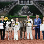 Wisconsin Sweeps Youth Showmanship Contest