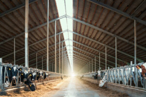 Extension Offers Dairy Facility Tours