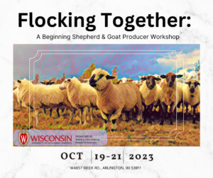 “Flock” Together For A Producer Workshop