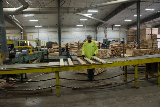It’s National Forest Products Week!