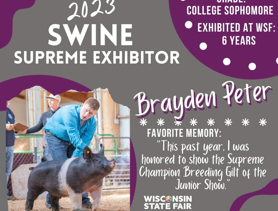 Peter The Swine Supreme Exhibitor