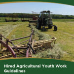 Hired Agricultural Youth Work Guidlines (1)