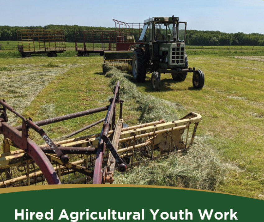 Hired Agricultural Youth Work Guidelines Published