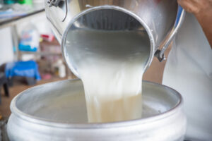 Legalizing The Sale Of Raw Milk