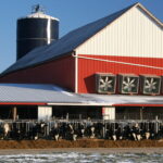 Winter barn ventilation