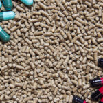 Animal,Feed,Pellets,And,Pill,Capsules,As,Background,,Antibiotics,In - probiotics