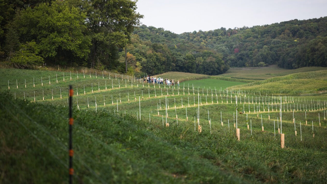 Wisconsin NRCS & Savanna Institute Partner To Create Agroforestry Demonstrations