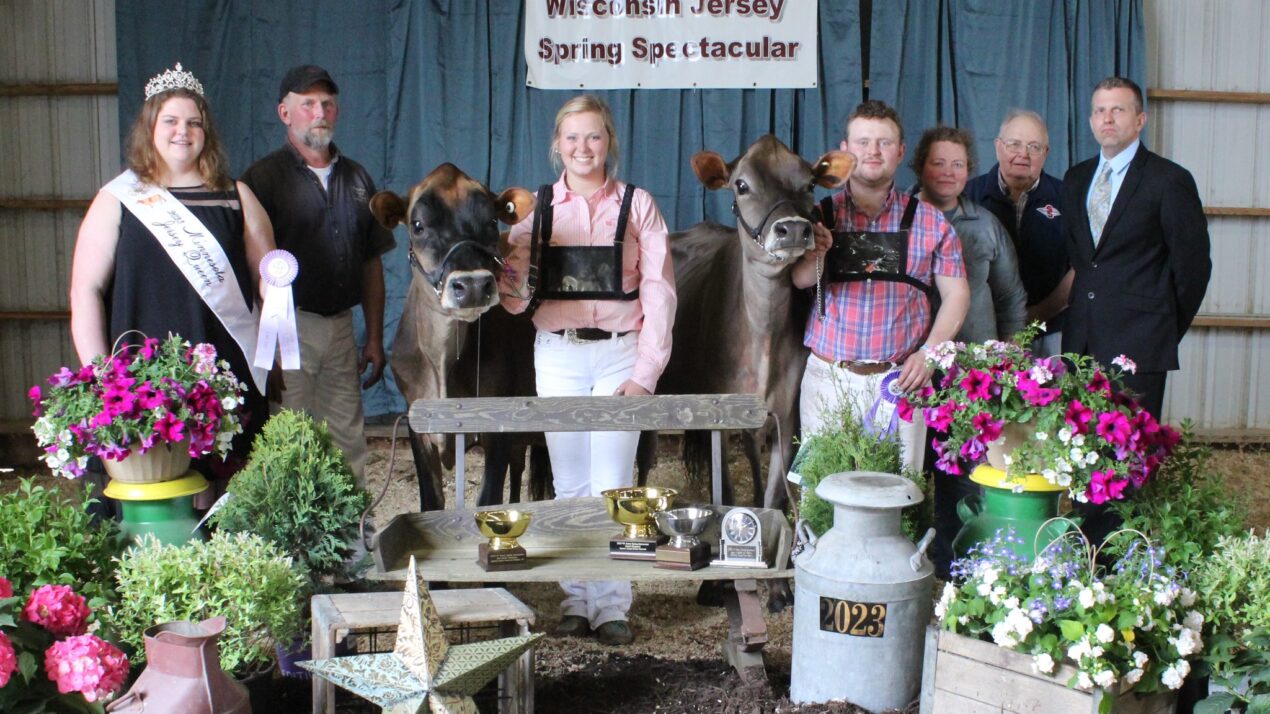 Wisconsin Jersey Spring Spectacular Entries Open