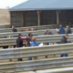 Public Feedback Has DATCP Reworking Fee Proposals