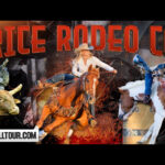 Dodge County Rodeo Beaver Dam Wisconsin