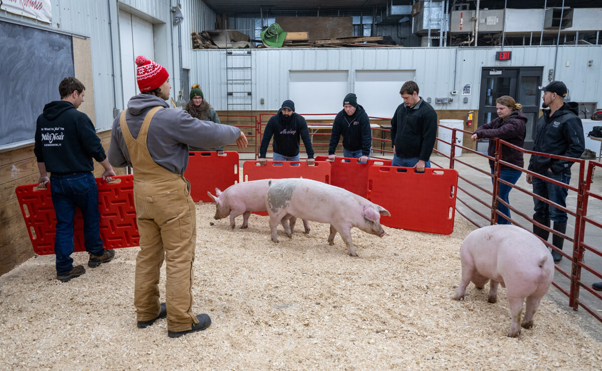 UWRiver Falls Receives 1 Million Gift for Humane Handling Institute