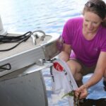 The DNR urges boaters and anglers to drain their livewells and fish buckets before leaving boat launches. Photo Credit: Jeanne Scherer