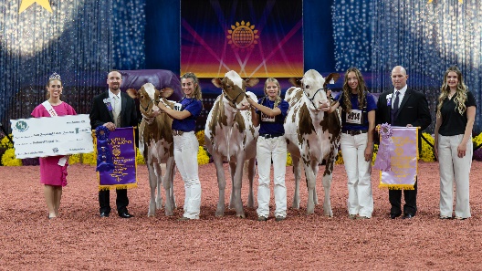 Wisconsin Secures Reserve Junior Champion In Red & White Show