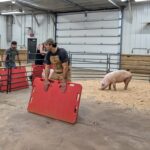 humane handling