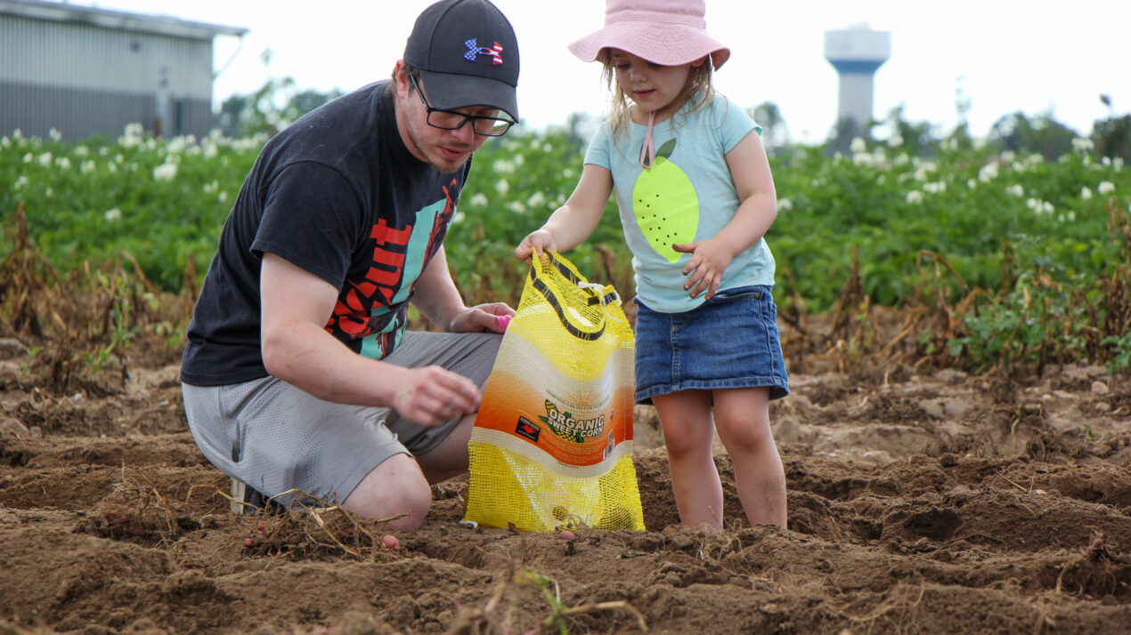 You’re Invited To U-Pick Harvest Day