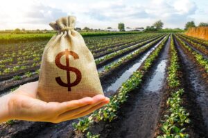 Income Tax Updates Offer Relief & Reminders
