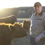 Cattle Farmers Earn Voice On Wolf Advisory Commitee