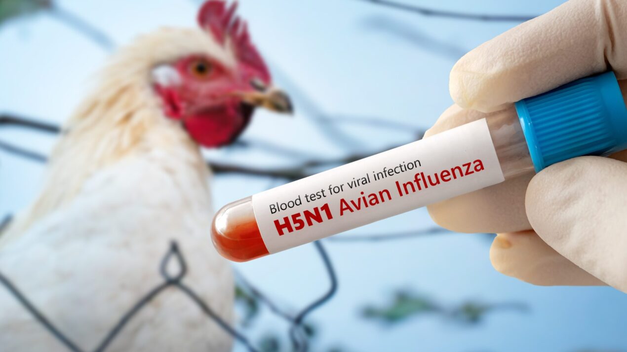 Poultry Shows Suspended Due To HPAI