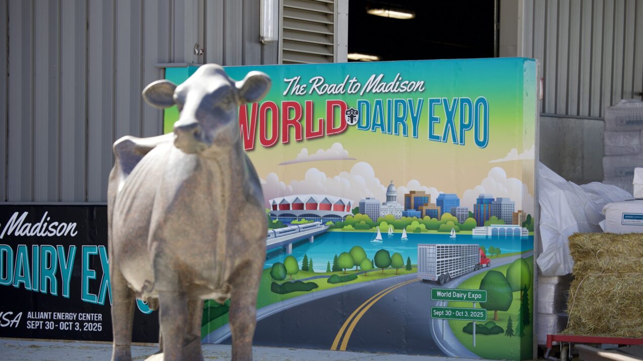 New Board Members Bring Excitement To Expo