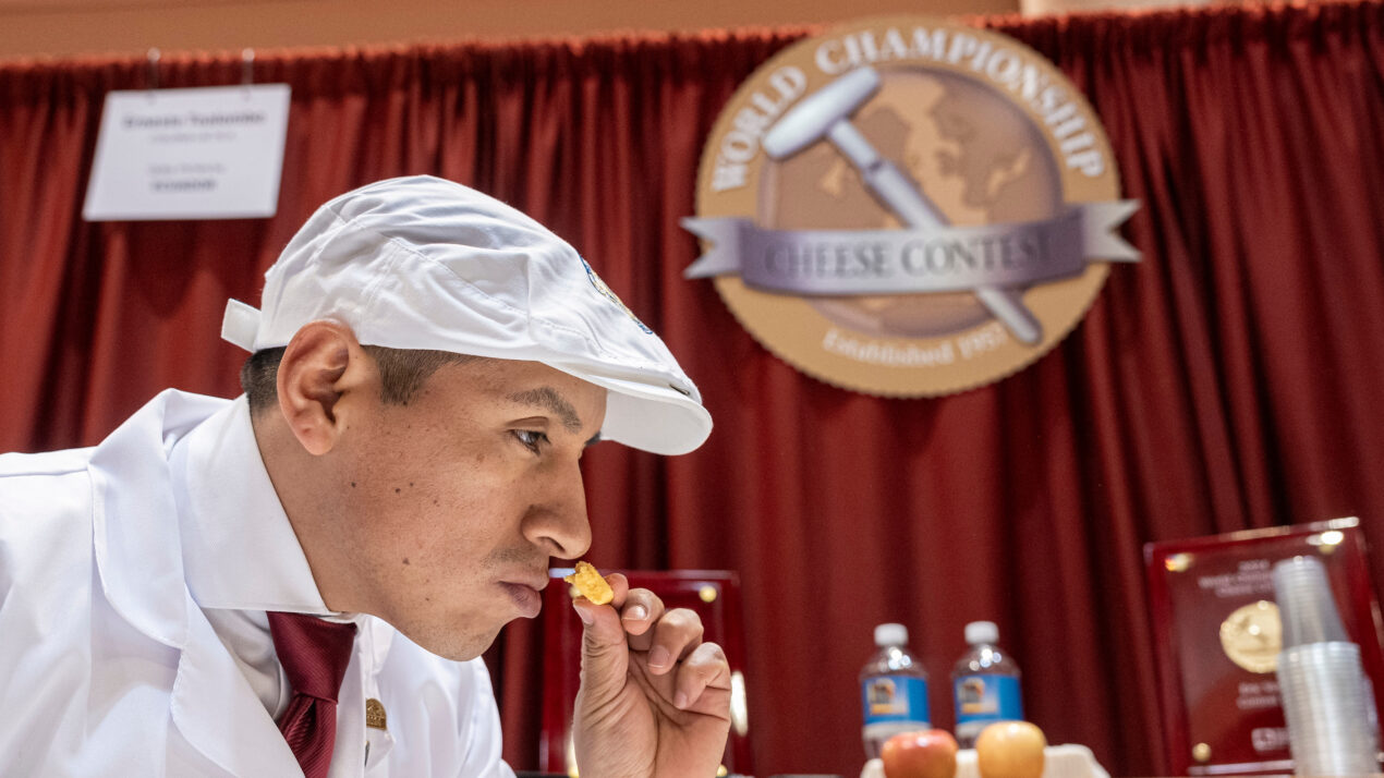 Entry Period Open For World Champion Cheese Contest